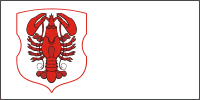 Флаг городского поселка Радунь (Беларусь)